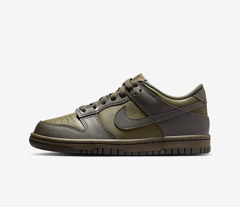 Nike Dunk Low
Big Kids' Shoes