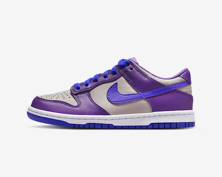 Nike Dunk Low
Big Kids' Shoes