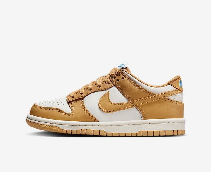 Nike Dunk Low
Big Kids' Shoes