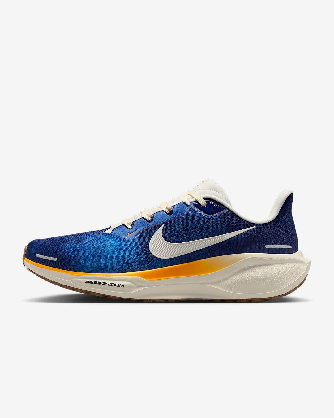 Nike Men's Pegasus 41 Shoes