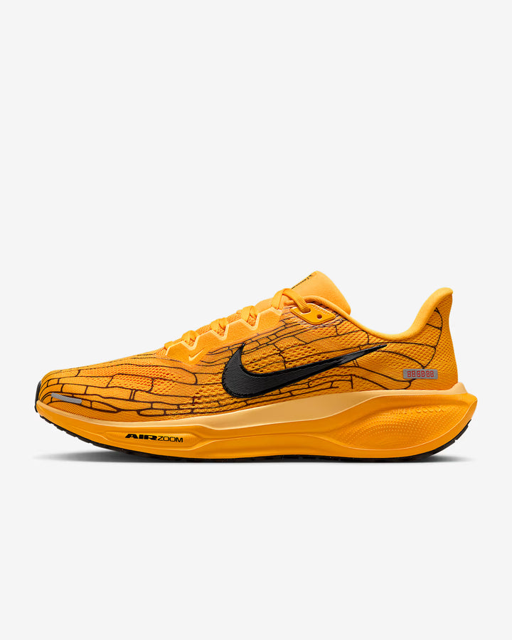 Nike Men's Pegasus 41 Shoes