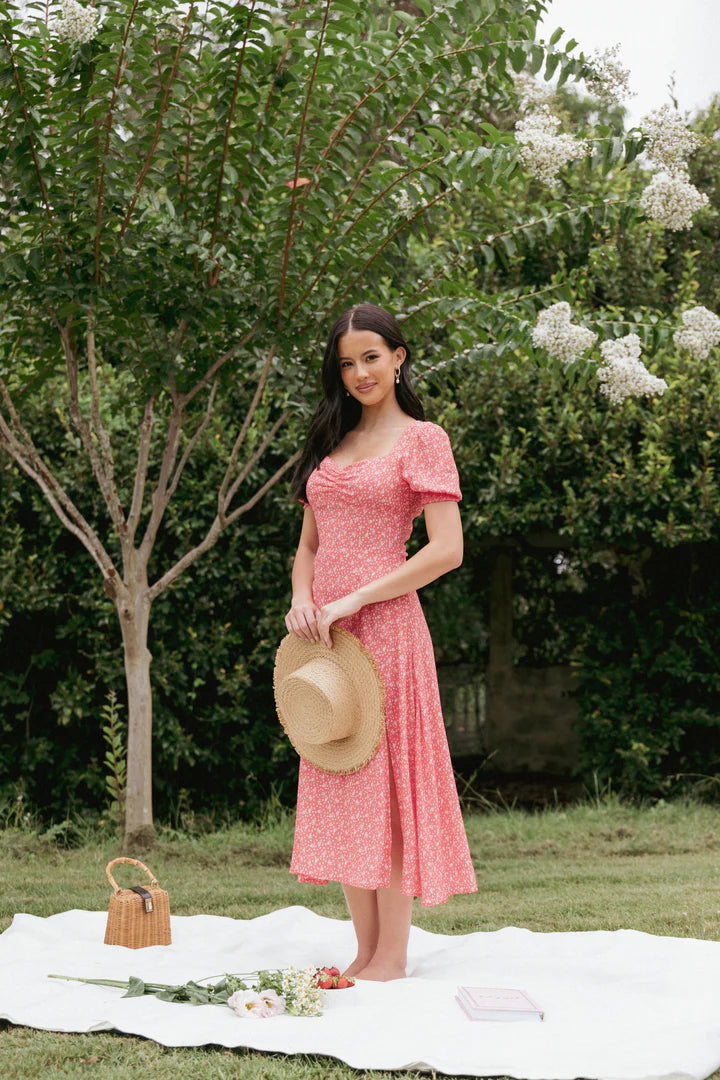 Petal & Pup Women Franklin Dress