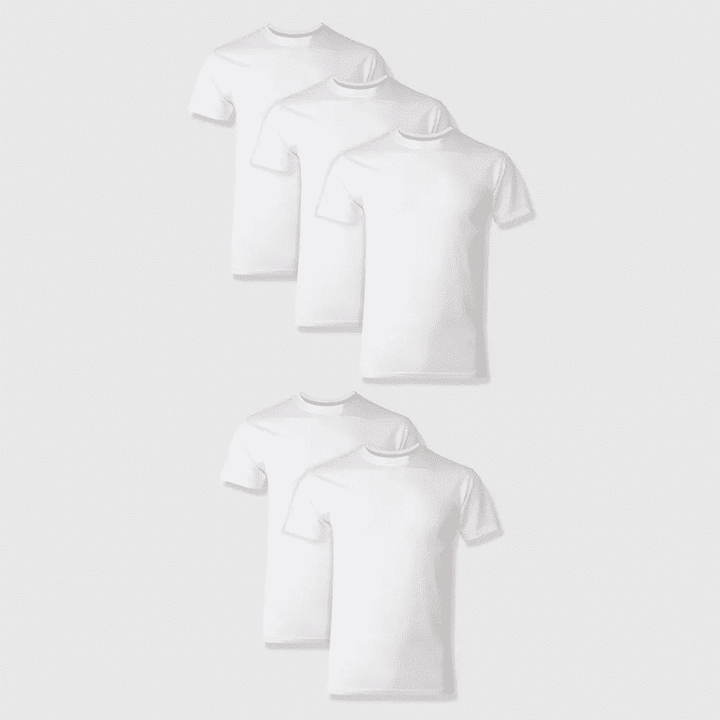 Hanes Men's Premium 5pk Slim Fit Crew Neck T-Shirt