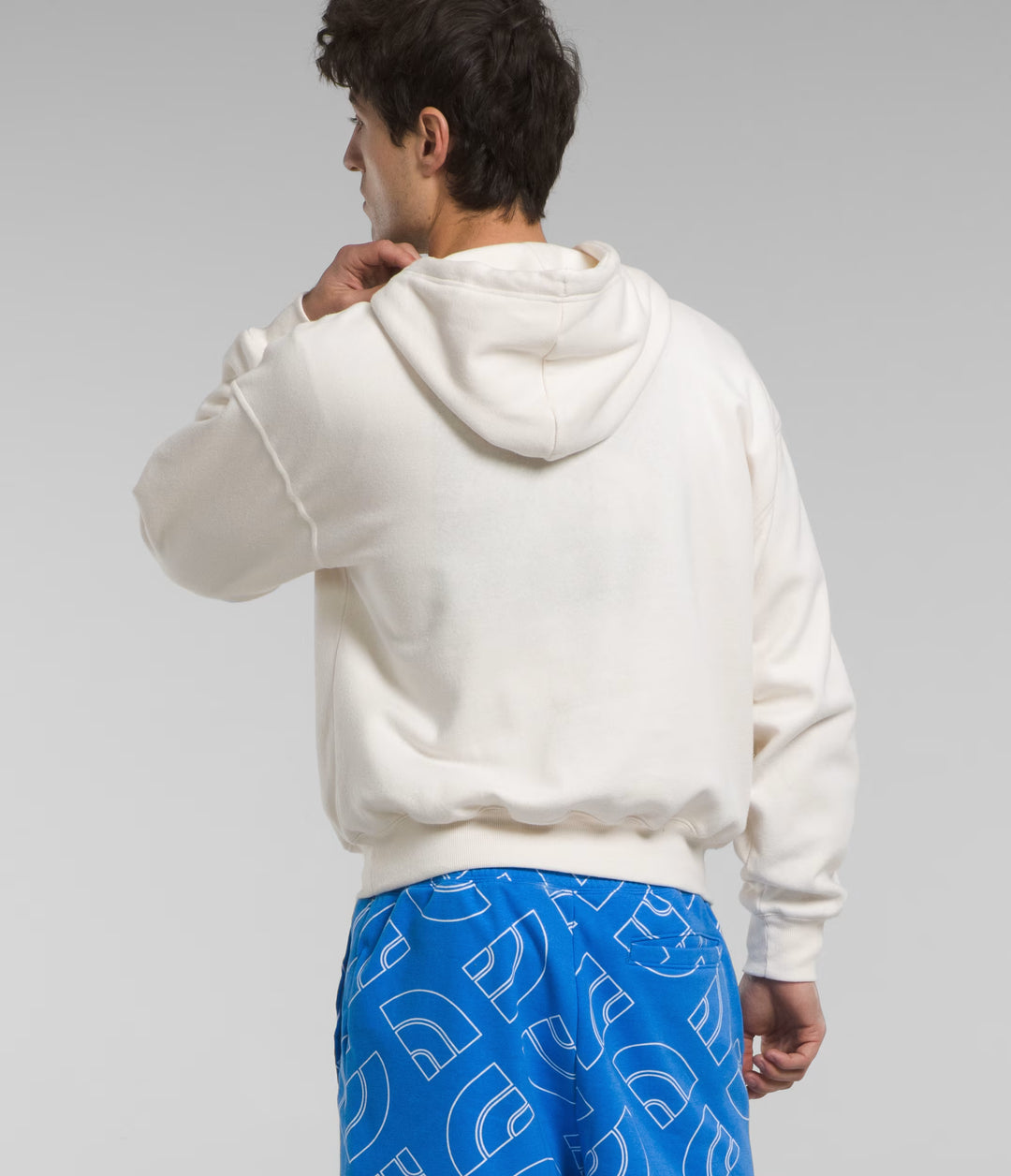 North Face Men's evolution vintage hoodie