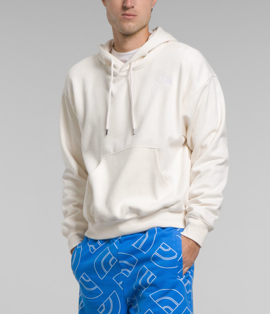 North Face Men's evolution vintage hoodie