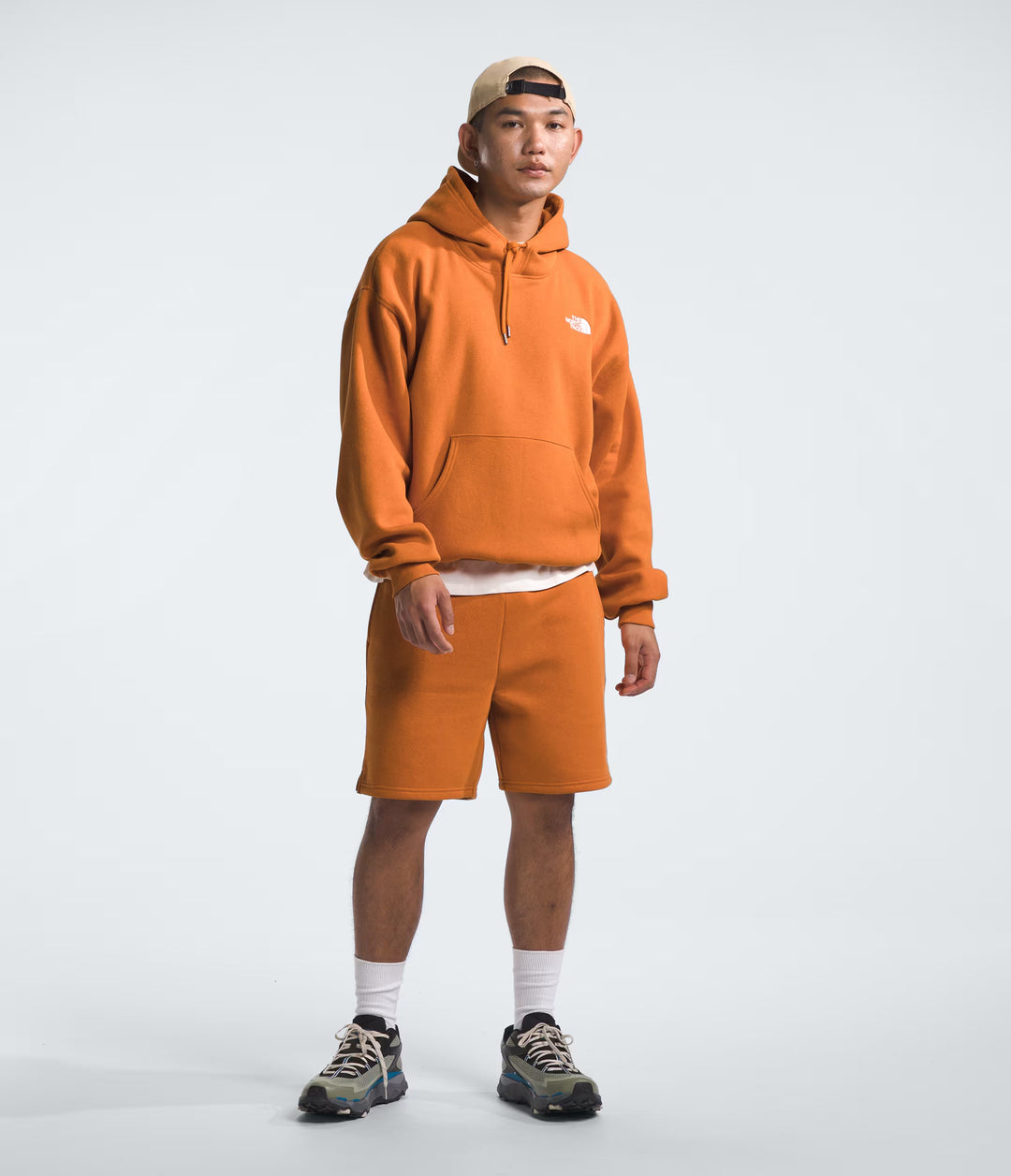 North Face Men's evolution vintage hoodie