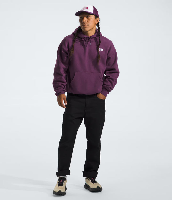 North Face Men's evolution vintage hoodie