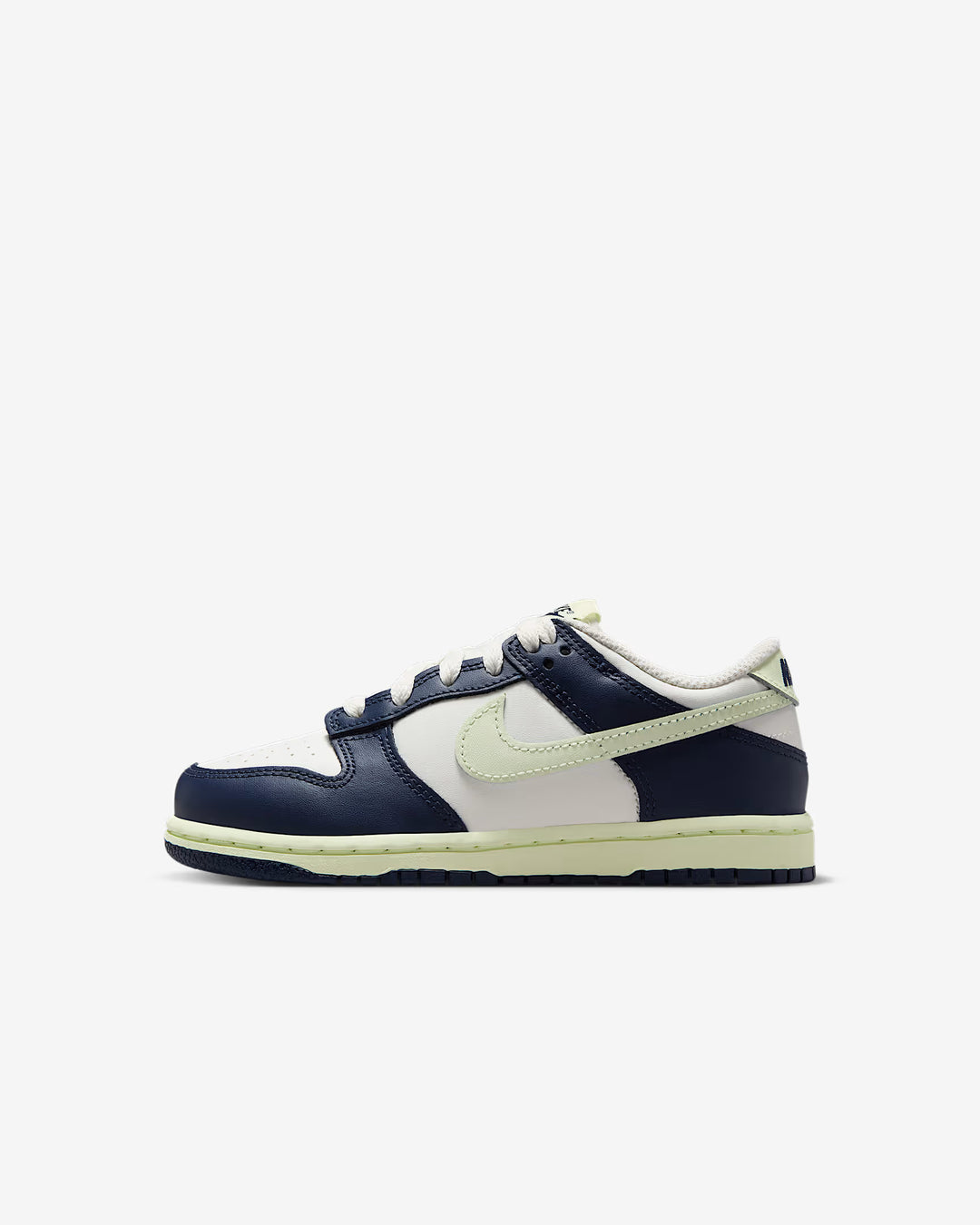 Nike Kids Dunk Low Casual Shoes