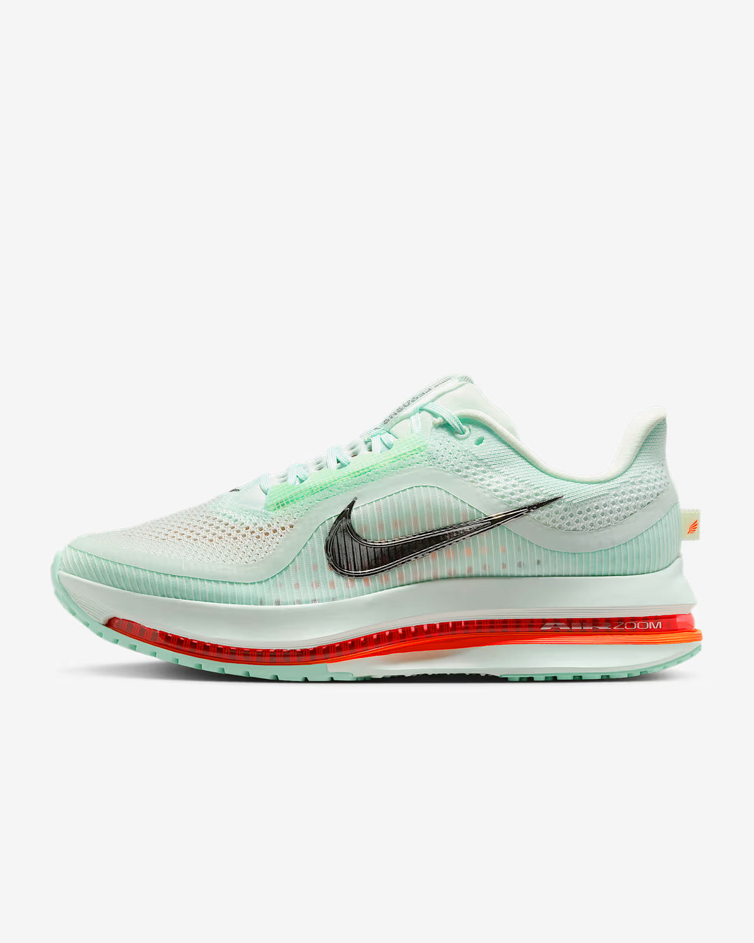 Nike Men's Pegasus Premium Shoes