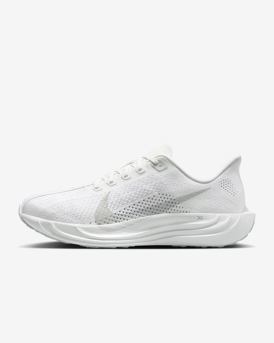 Nike Men's Pegasus Plus Shoes