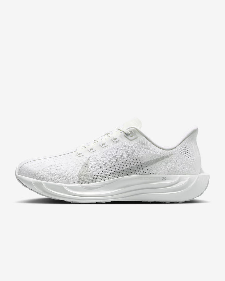 Nike Men's Pegasus Plus Shoes