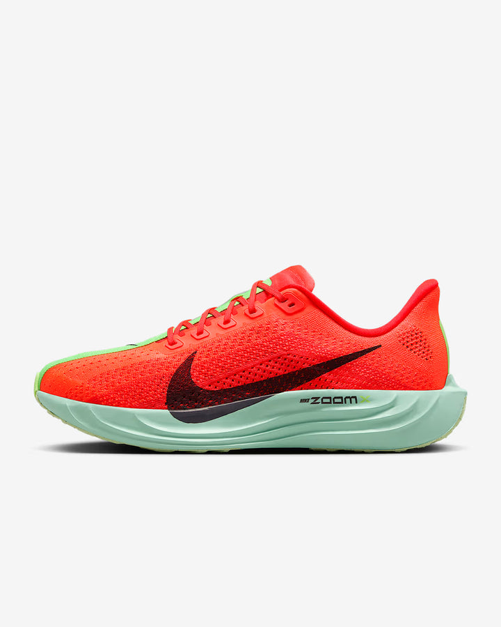 Nike Men's Pegasus Plus Shoes
