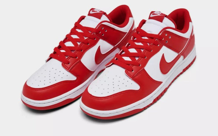 Nike Men's Dunk Low Retro