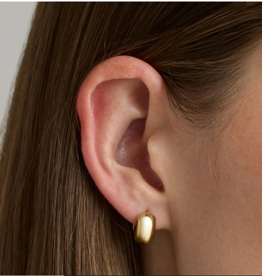 Women's Quince Dome Hoop Earrings