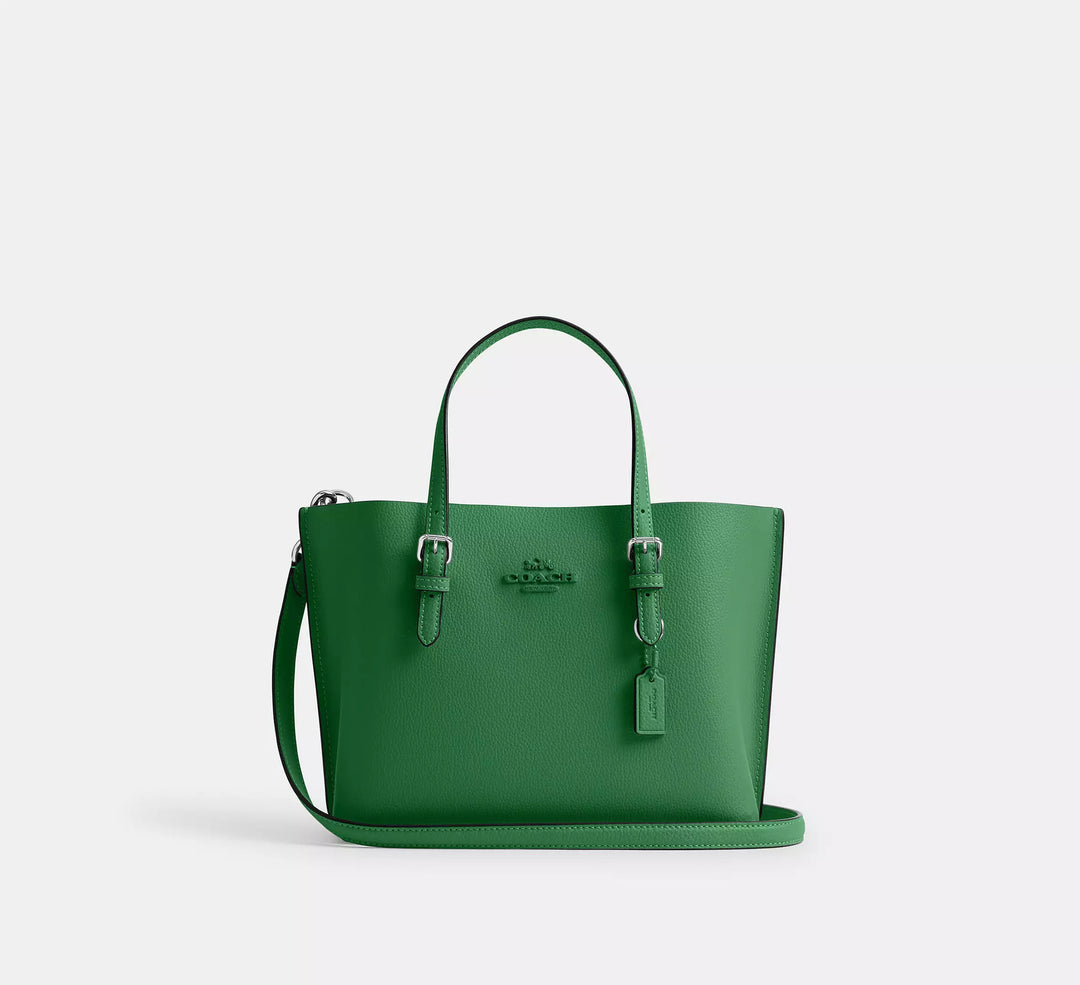 Coach Outlet Women’s Mollie Tote Bag 25