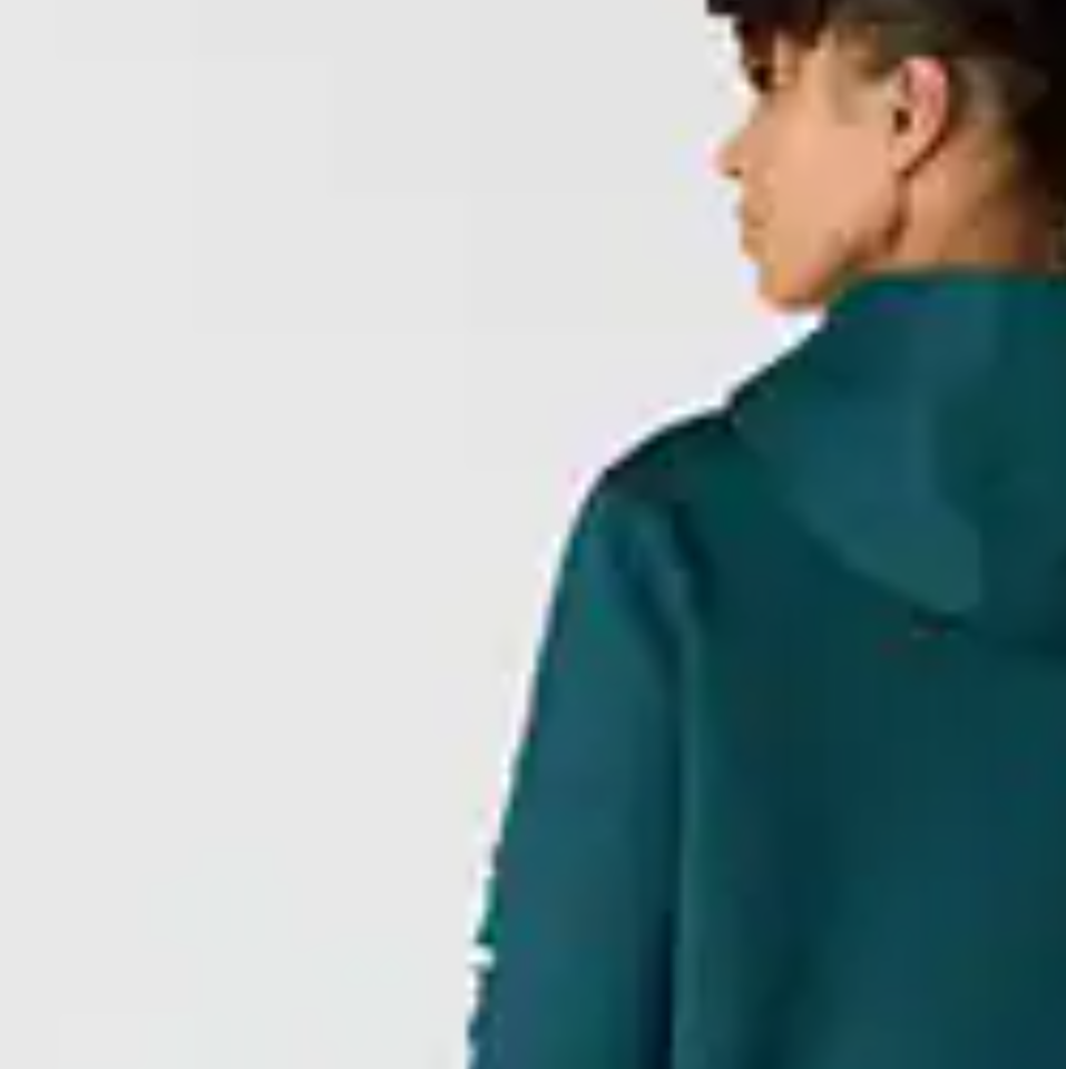 Carhartt Women's Relaxed Fit Midweight Logo Sleeve Graphic Hoodie