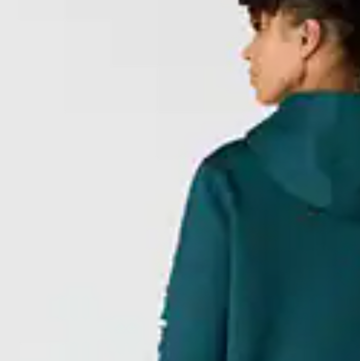 Carhartt Women's Relaxed Fit Midweight Logo Sleeve Graphic Hoodie